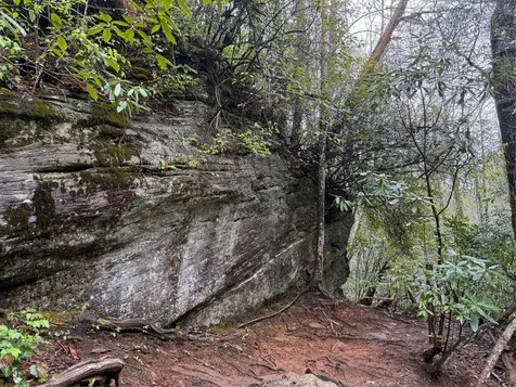 0 Holly Road Sapphire NC 28774