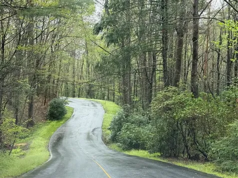 0 Holly Road Sapphire NC 28774