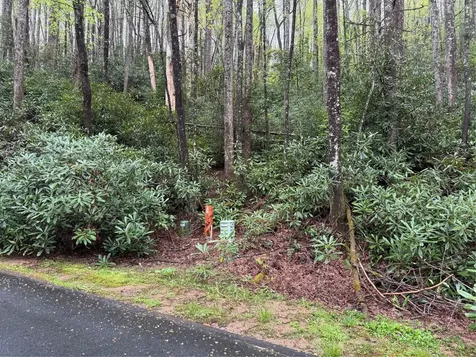 0 Holly Road Sapphire NC 28774