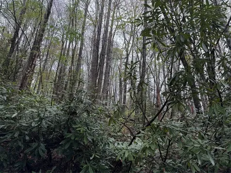 0 Holly Road Sapphire NC 28774