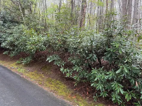 0 Holly Road Sapphire NC 28774