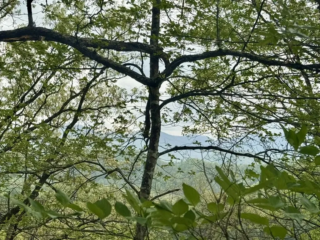 0 Bellaire Estates Sylva NC 28779