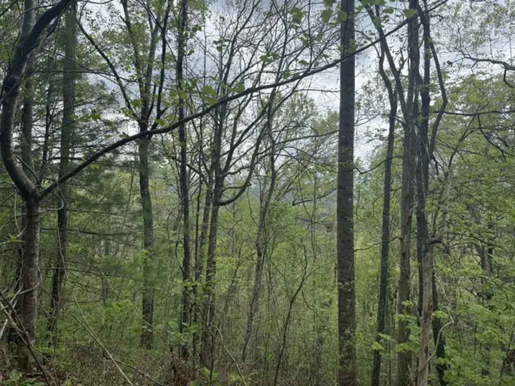 0 Bellaire Estates Sylva NC 28779