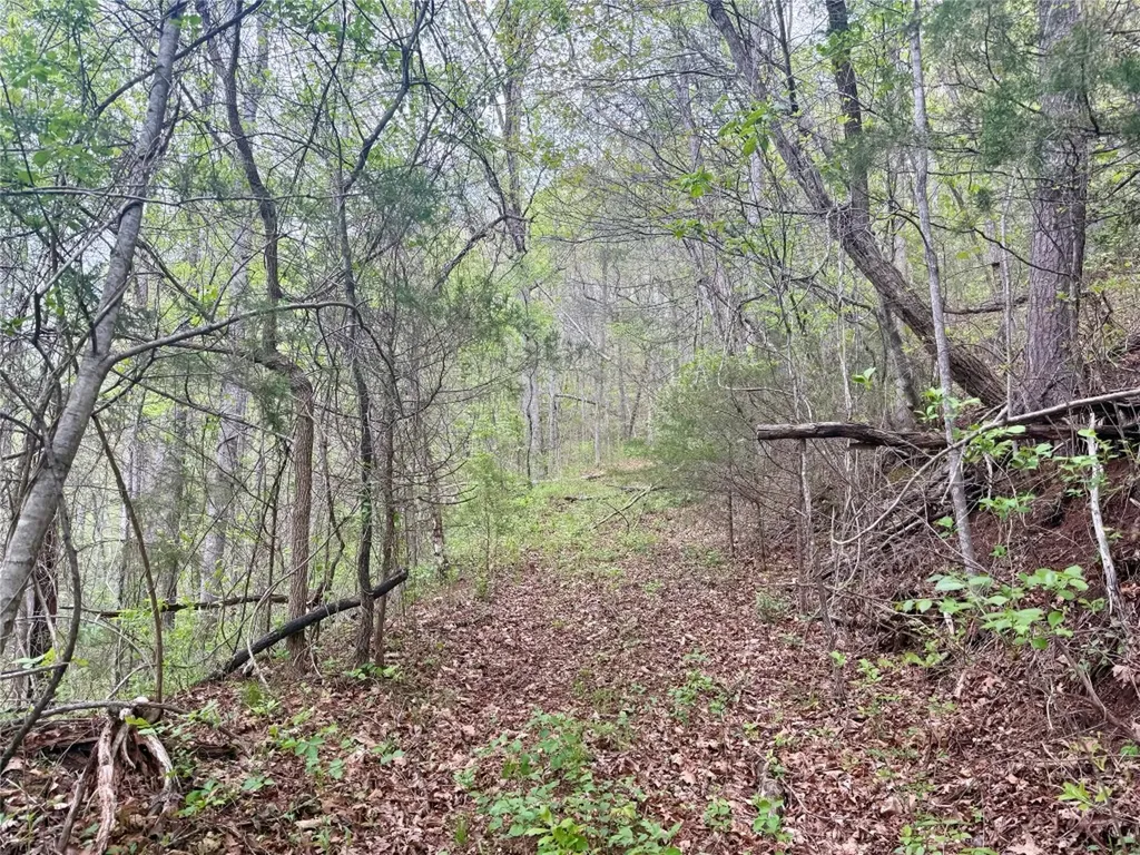 0 Bellaire Estates Sylva NC 28779