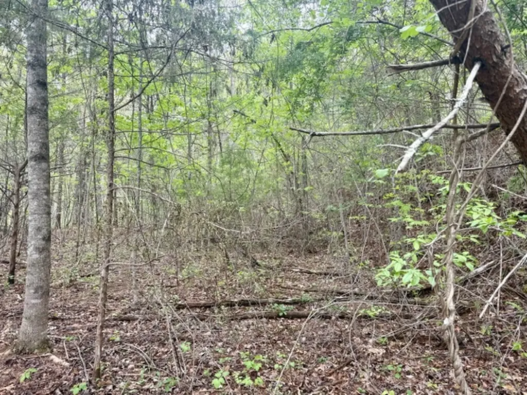 0 Bellaire Estates Sylva NC 28779