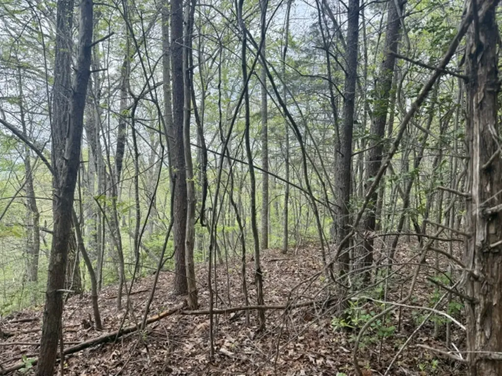 0 Bellaire Estates Sylva NC 28779