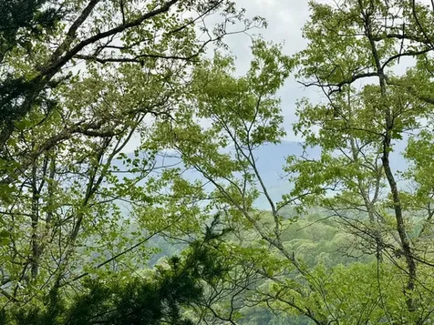 0 Bellaire Estates Sylva NC 28779