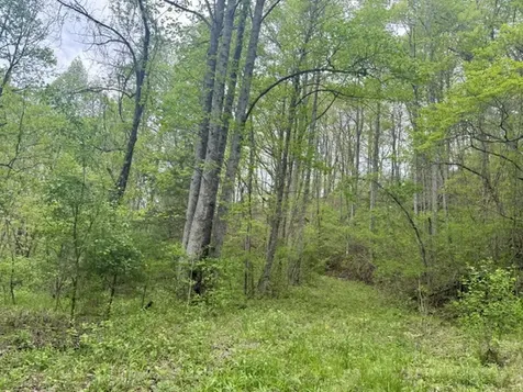 0 Bellaire Estates Sylva NC 28779