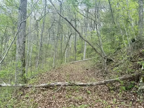 0 Bellaire Estates Sylva NC 28779