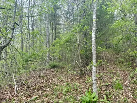 0 Bellaire Estates Sylva NC 28779