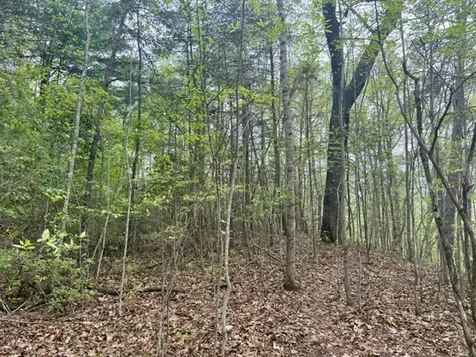 0 Bellaire Estates Sylva NC 28779