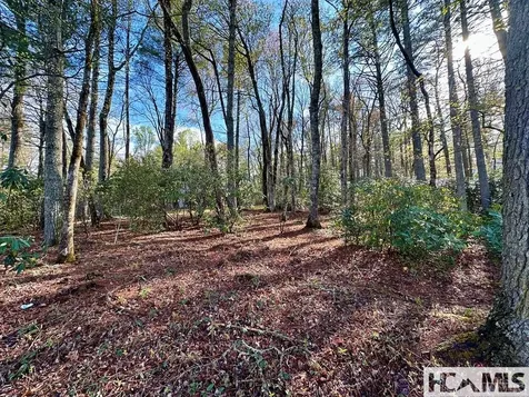 L83 N Club Boulevard Lake Toxaway NC 28747