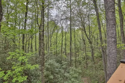 62 Plum Court Sapphire NC 28774