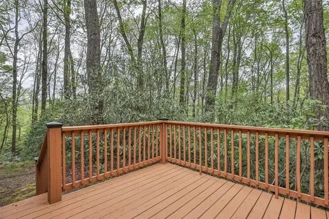 62 Plum Court Sapphire NC 28774