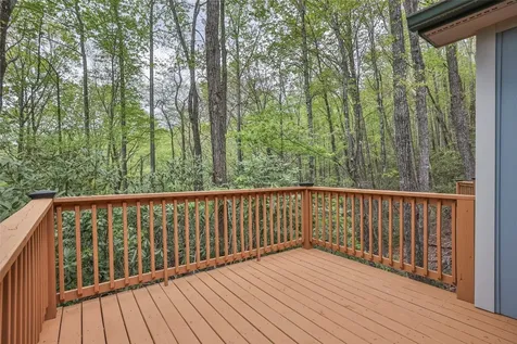 62 Plum Court Sapphire NC 28774