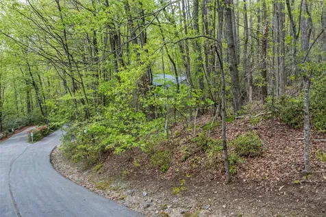 62 Plum Court Sapphire NC 28774