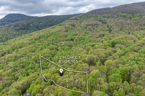 62 Plum Court Sapphire NC 28774