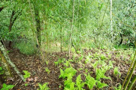 509 Crowe Drive Highlands NC 28741