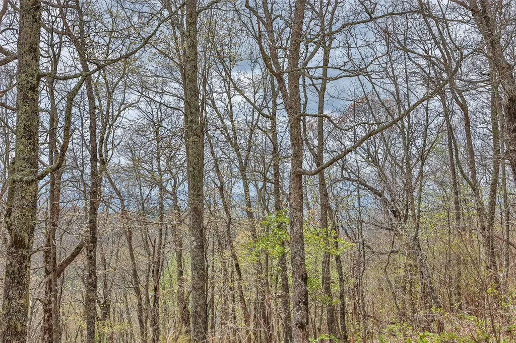 77 Valley View Trail Glenville NC 28736