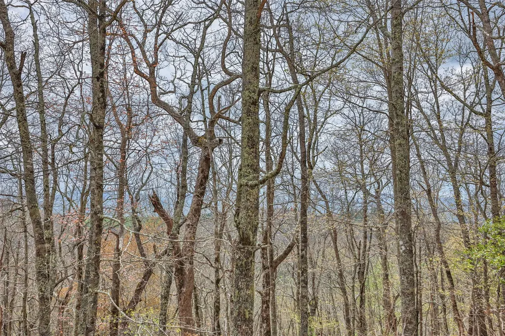 77 Valley View Trail Glenville NC 28736