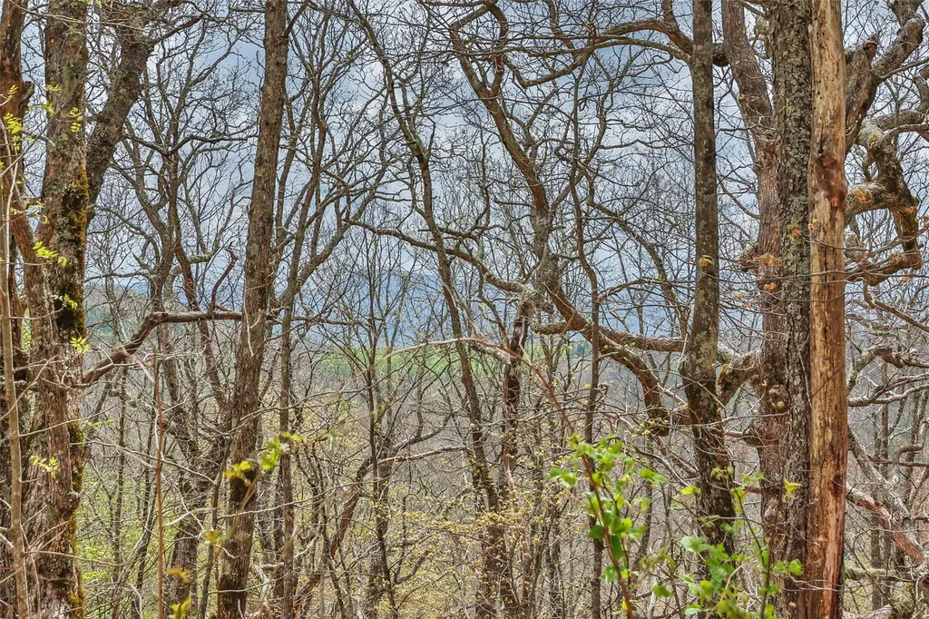 77 Valley View Trail Glenville NC 28736