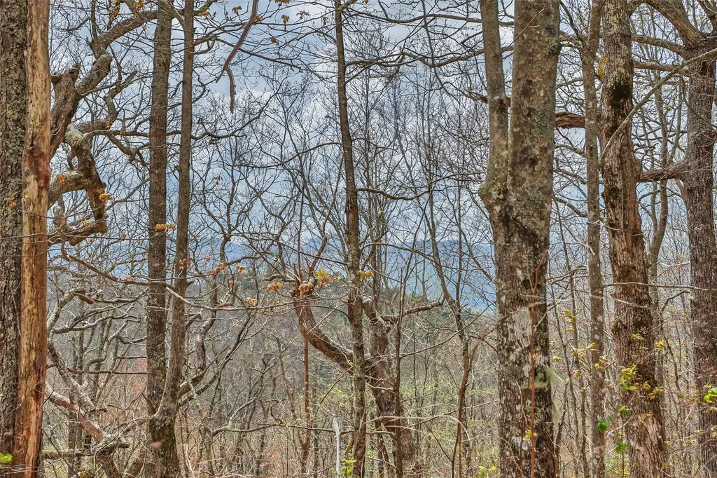 77 Valley View Trail Glenville NC 28736