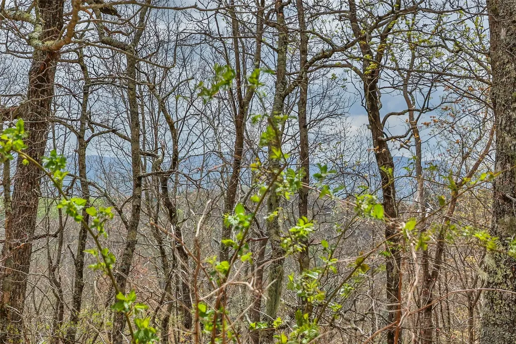 77 Valley View Trail Glenville NC 28736