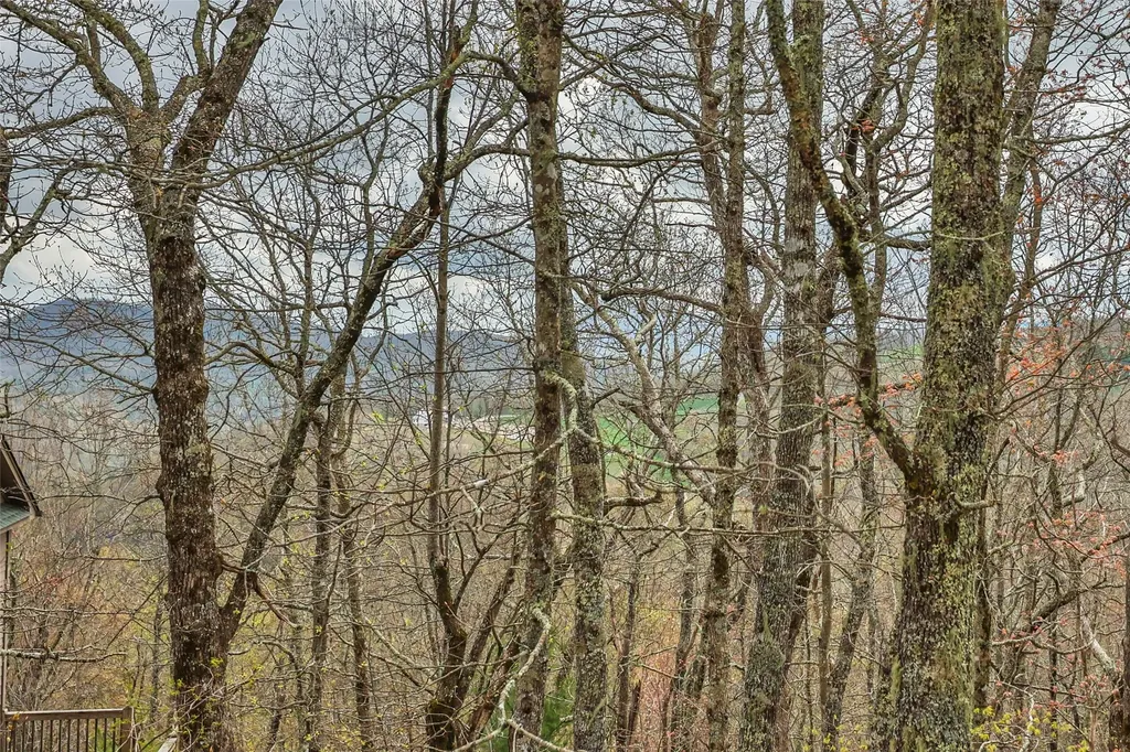 77 Valley View Trail Glenville NC 28736