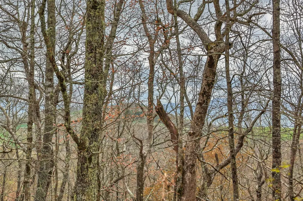 77 Valley View Trail Glenville NC 28736