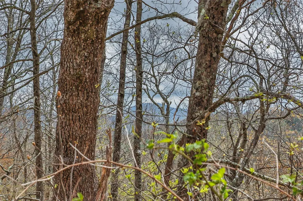 77 Valley View Trail Glenville NC 28736