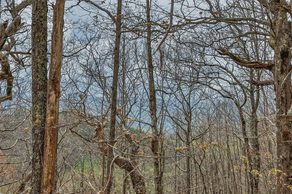 77 Valley View Trail Glenville NC 28736