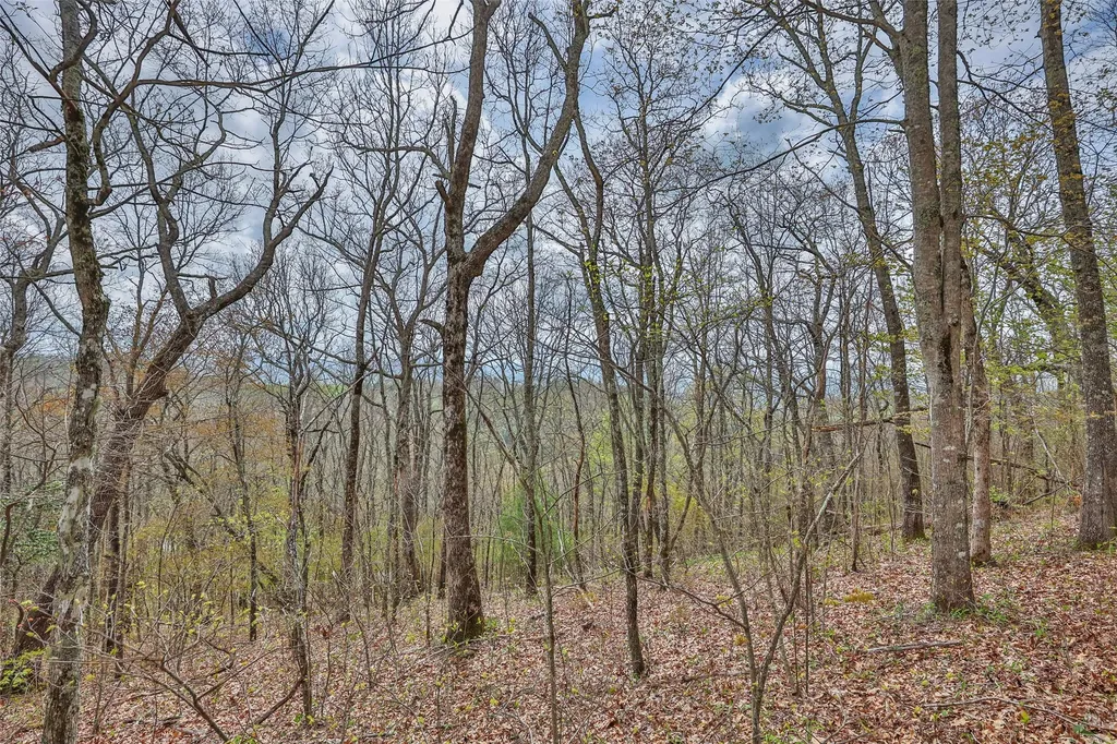 77 Valley View Trail Glenville NC 28736