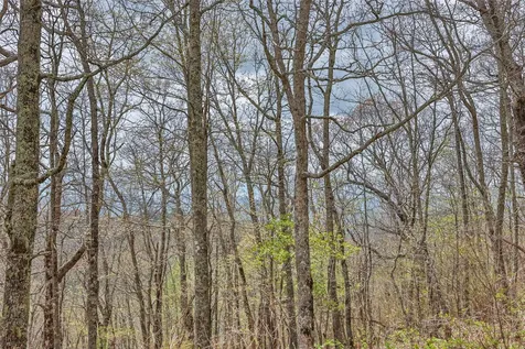 77 Valley View Trail Glenville NC 28736