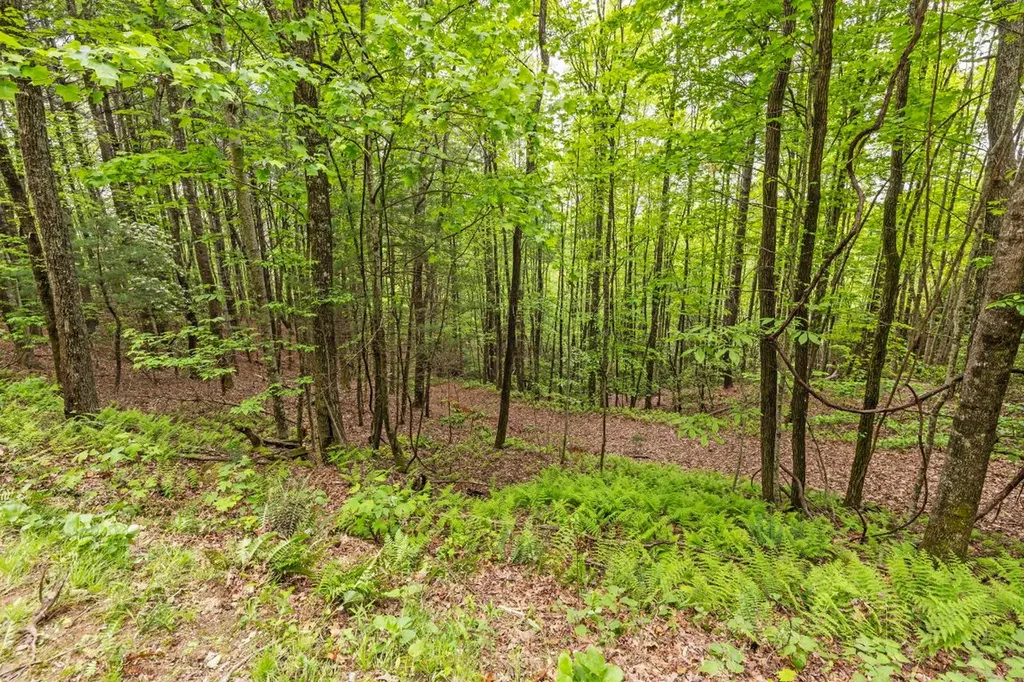 1325 Golden Road Lake Toxaway NC 28747