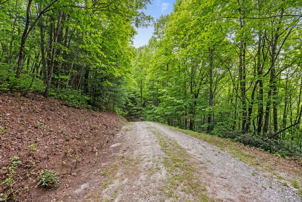 1325 Golden Road Lake Toxaway NC 28747