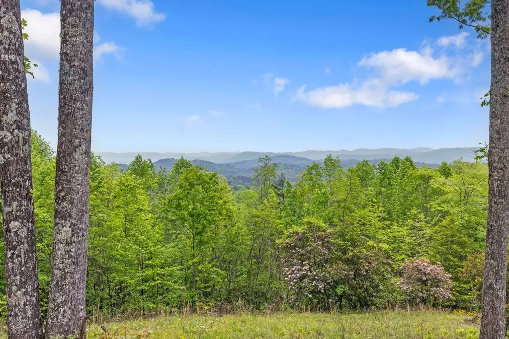 1325 Golden Road Lake Toxaway NC 28747