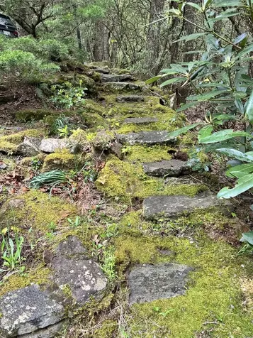 1245 Buckberry N Sapphire NC 28774