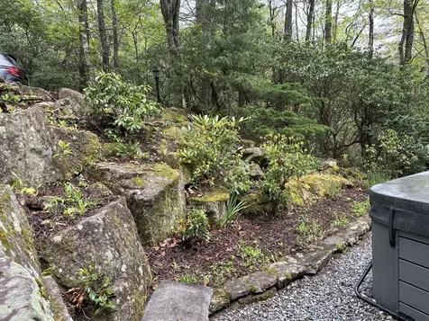 1245 Buckberry N Sapphire NC 28774