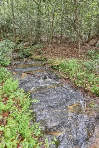 1245 Buckberry N Sapphire NC 28774