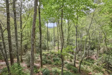 1245 Buckberry N Sapphire NC 28774