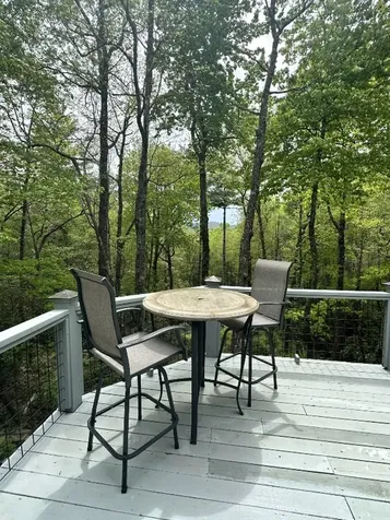 1245 Buckberry N Sapphire NC 28774