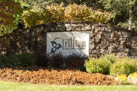 111 Chapel Hill Cashiers NC 28717