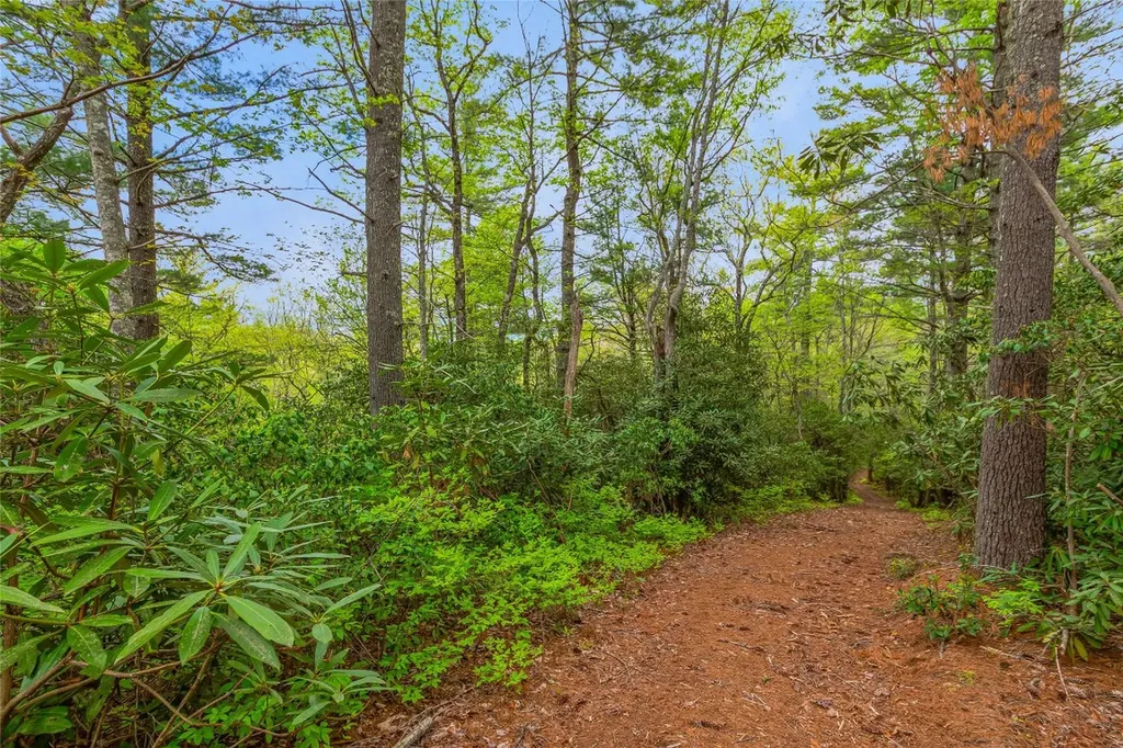 3539 West Club Boulevard Lake Toxaway NC 28747