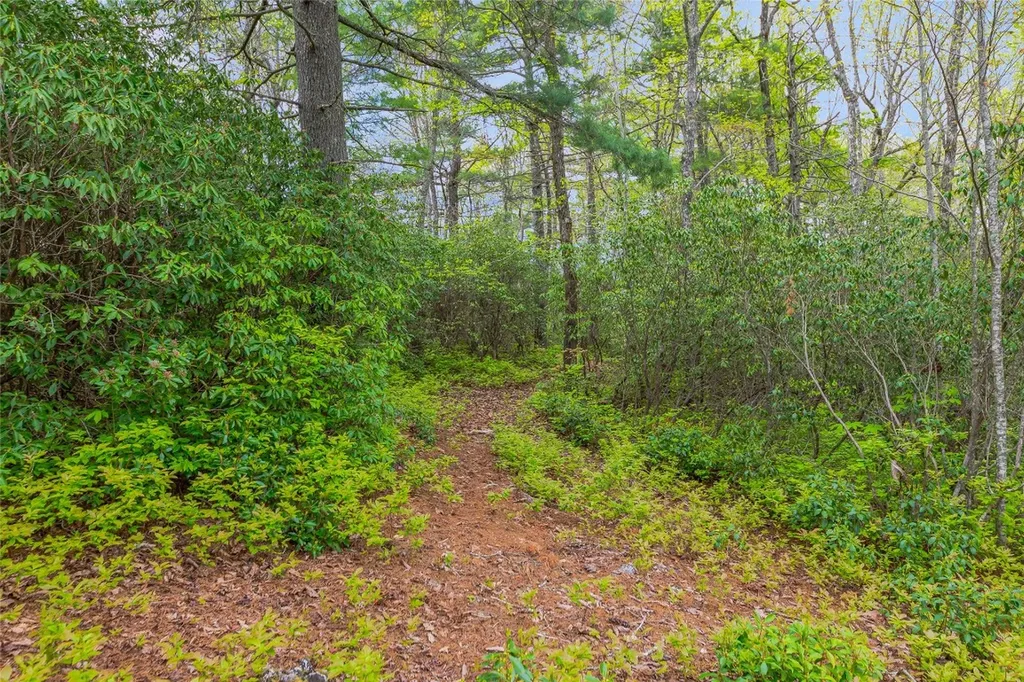 3539 West Club Boulevard Lake Toxaway NC 28747