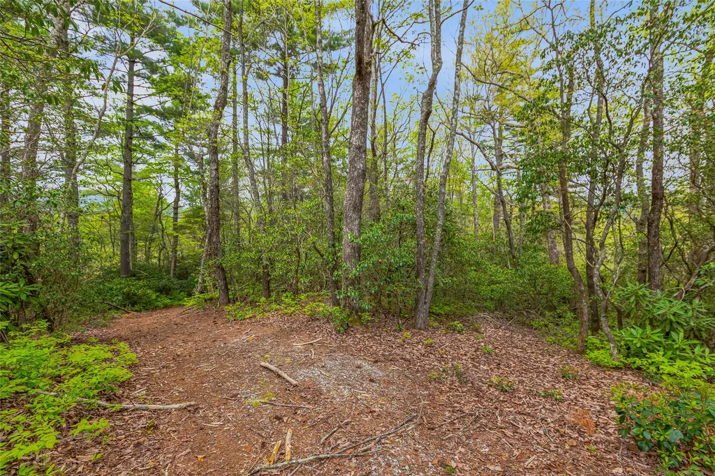 3539 W Club Boulevard Lake Toxaway NC 28747