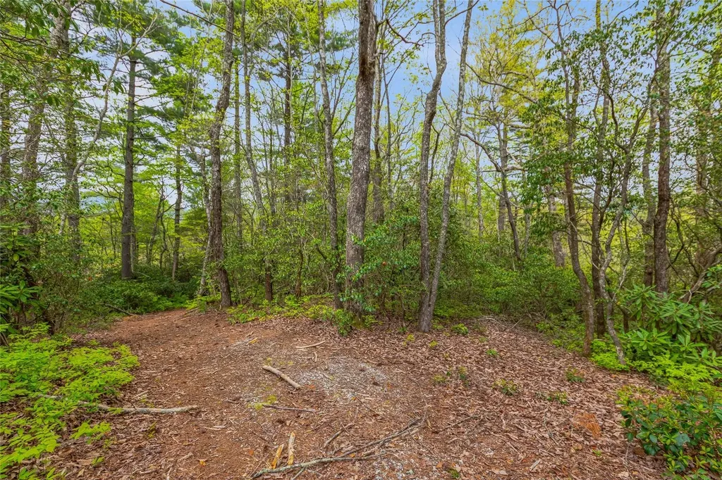 3539 West Club Boulevard Lake Toxaway NC 28747