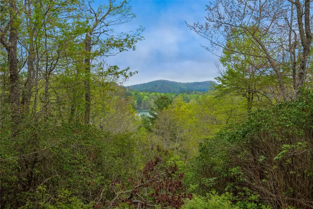 3539 West Club Boulevard Lake Toxaway NC 28747