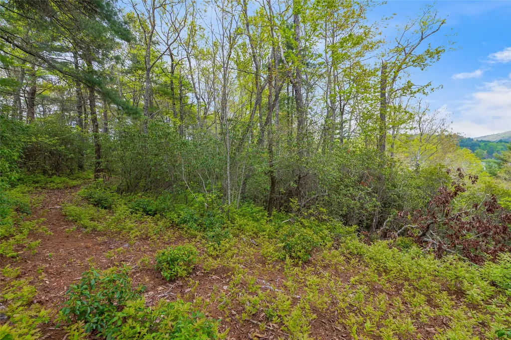 3539 W Club Boulevard Lake Toxaway NC 28747