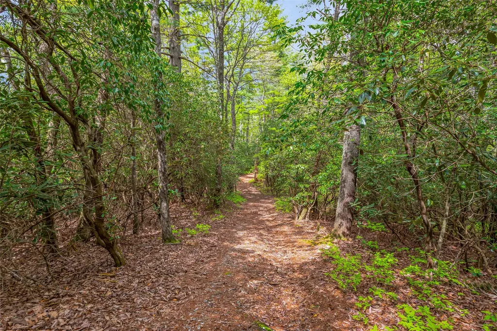 3539 W Club Boulevard Lake Toxaway NC 28747