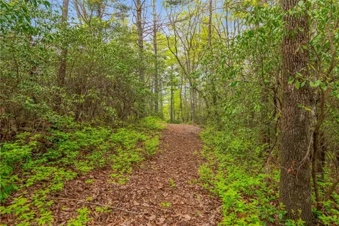 3539 W Club Boulevard Lake Toxaway NC 28747